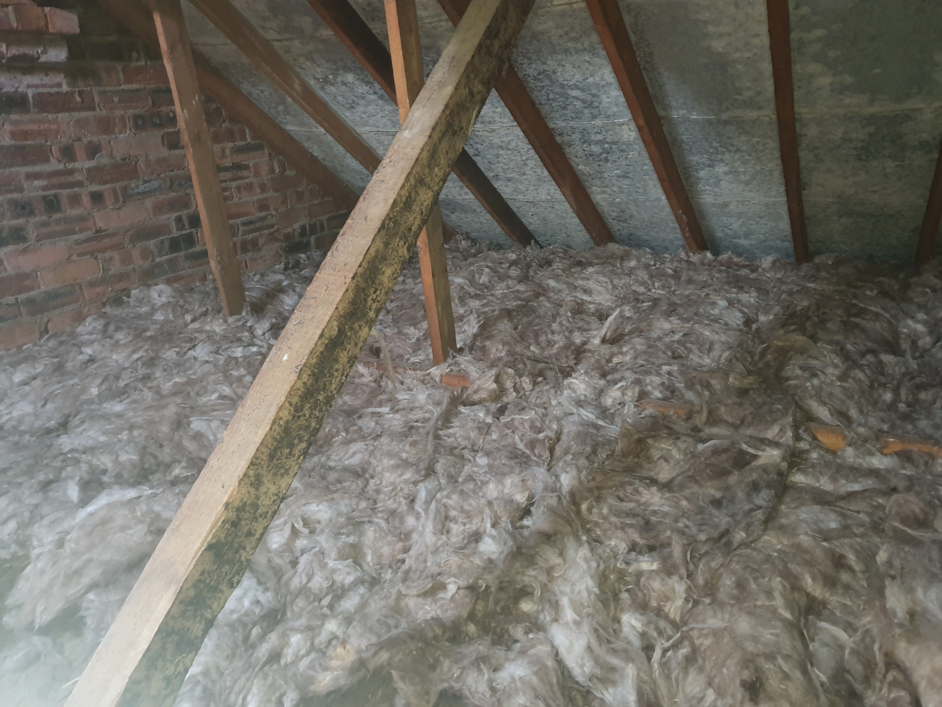 Standard Loft Insulation project photo 1