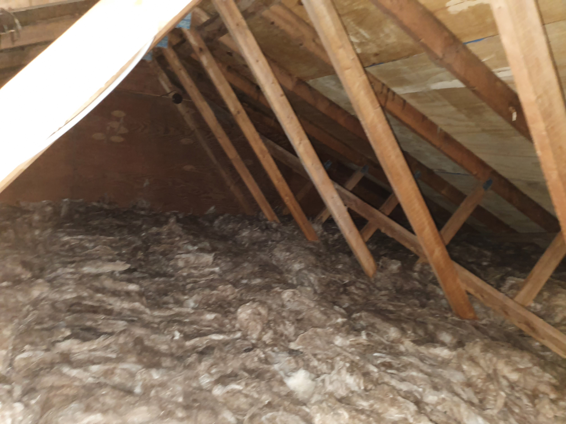 Standard Loft Insulation project photo 3