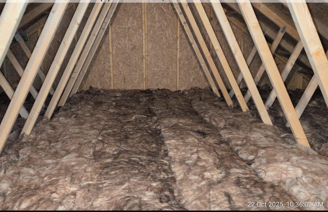Standard Loft Insulation project photo 5