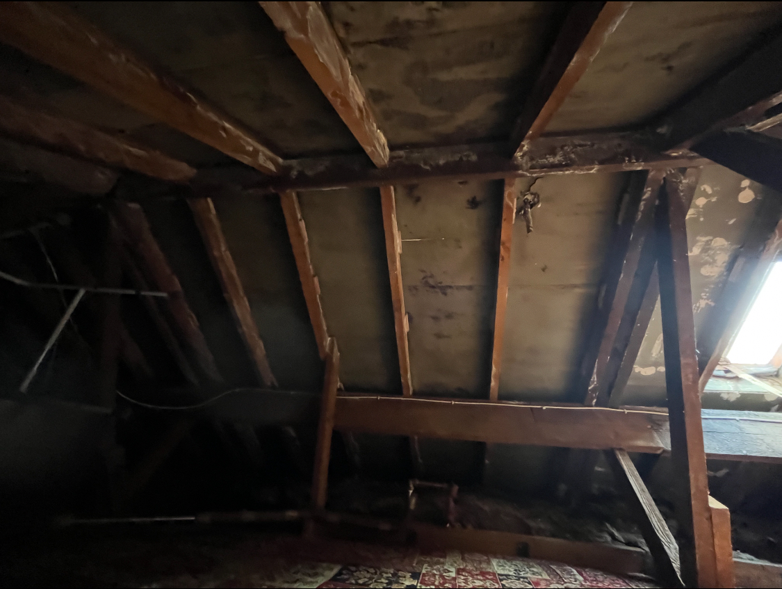 Sprayfoam Removal project photo 2