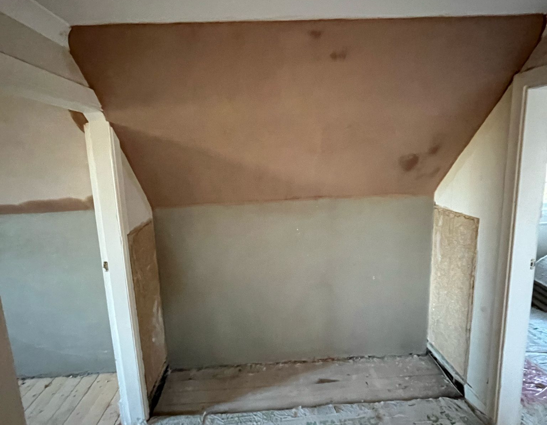 Lime Plastering project photo 7