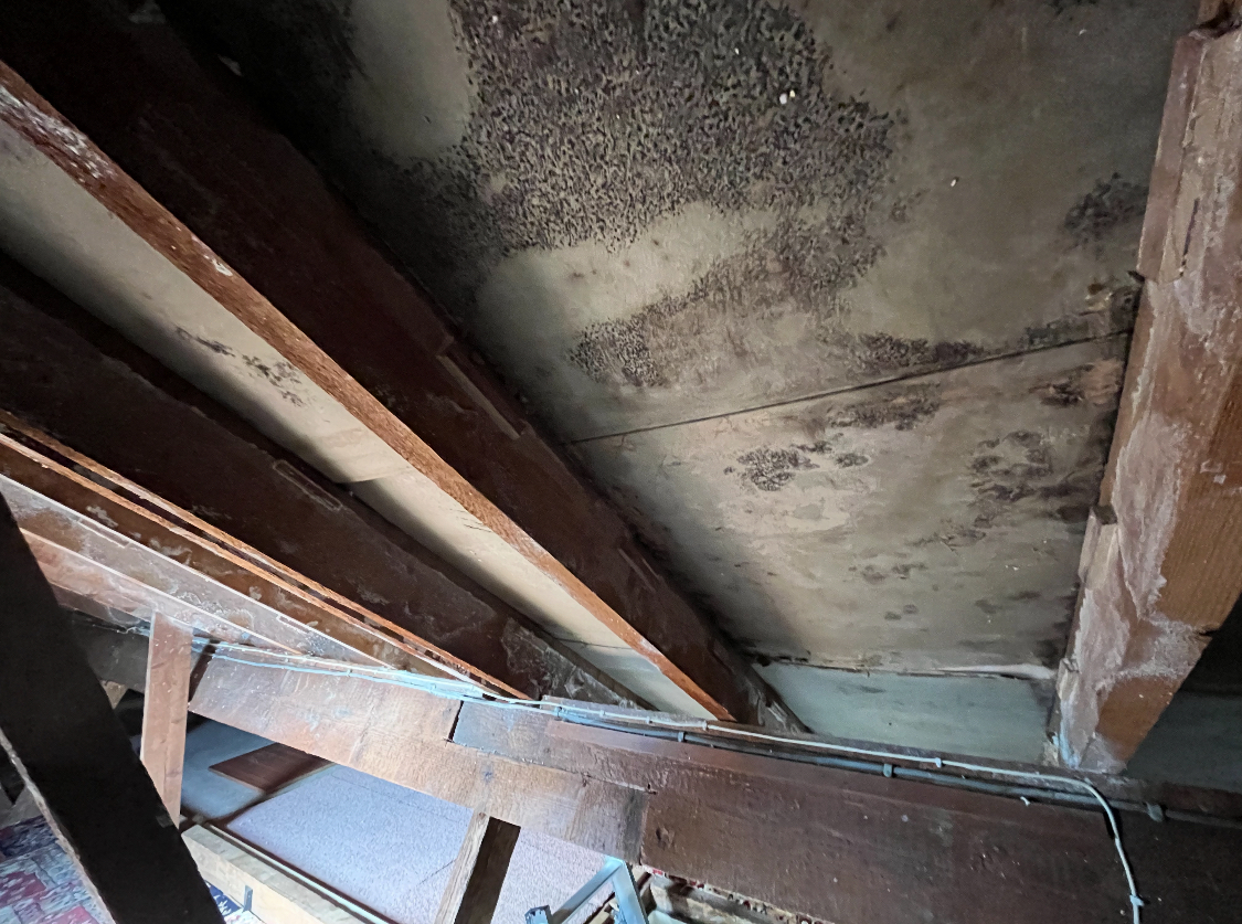 Sprayfoam Removal project photo 7