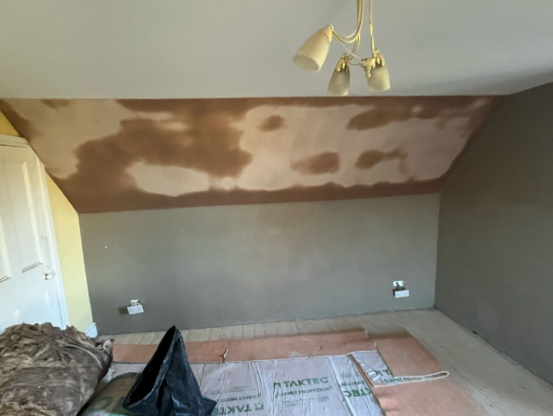 Lime Plastering project photo 8