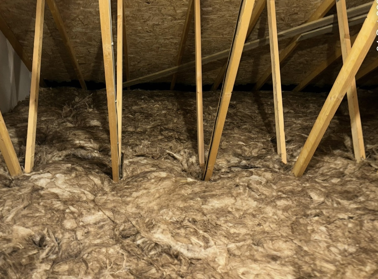 Standard Loft Insulation project photo 4