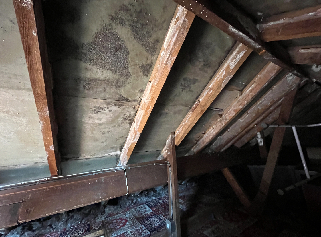 Sprayfoam Removal project photo 3